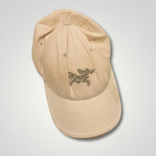 Arcteryx Cap